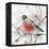 Winter Robin-Katrina Pete-Framed Stretched Canvas