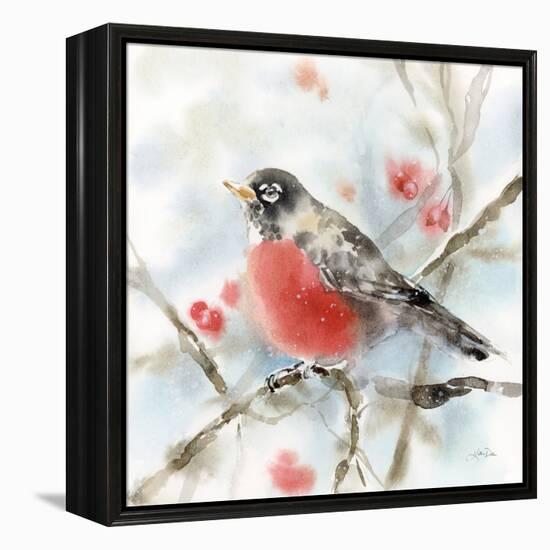 Winter Robin-Katrina Pete-Framed Stretched Canvas