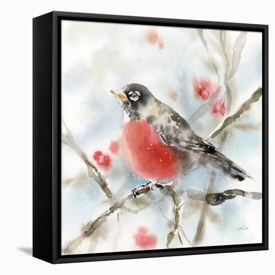 Winter Robin-Katrina Pete-Framed Stretched Canvas