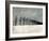 Winter Row-Ynon Mabat-Framed Art Print