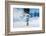 Winter Running Woman-HalfPoint-Framed Photographic Print