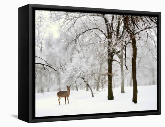 Winter's Breath-Jessica Jenney-Framed Premier Image Canvas