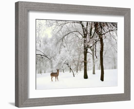 Winter's Breath-Jessica Jenney-Framed Photographic Print