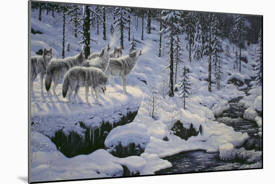 Winter's Cry-Jeff Tift-Mounted Giclee Print