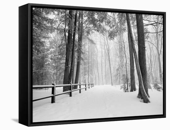 Winter's Path-Monte Nagler-Framed Premier Image Canvas