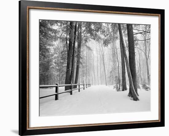 Winter's Path-Monte Nagler-Framed Photographic Print