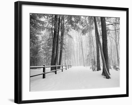 Winter's Path-Monte Nagler-Framed Photographic Print