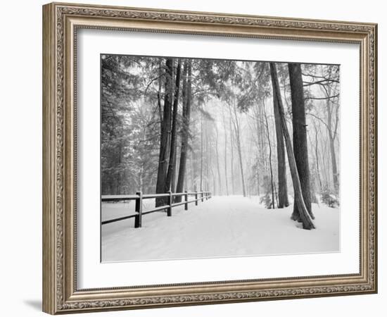 Winter's Path-Monte Nagler-Framed Photographic Print