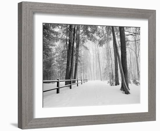 Winter's Path-Monte Nagler-Framed Photographic Print