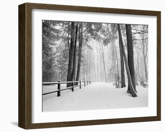 Winter's Path-Monte Nagler-Framed Photographic Print