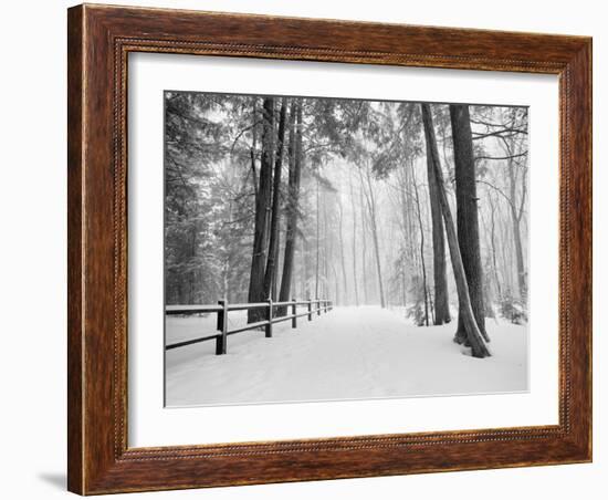 Winter's Path-Monte Nagler-Framed Photographic Print