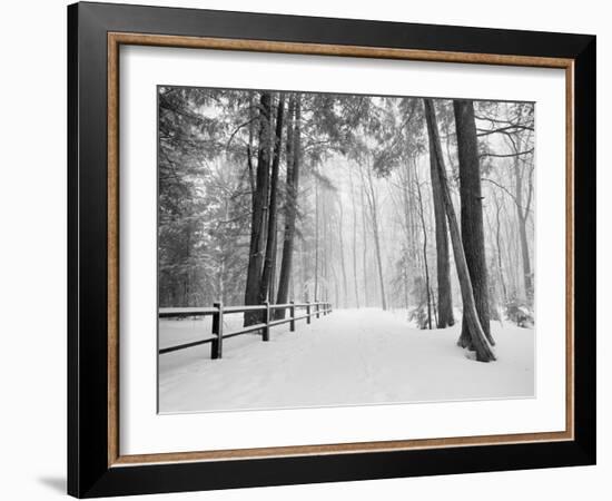 Winter's Path-Monte Nagler-Framed Photographic Print