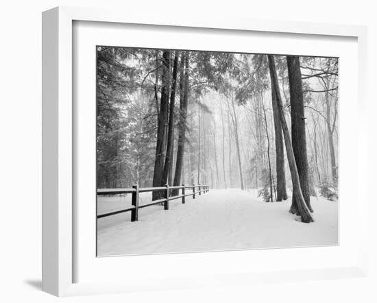 Winter's Path-Monte Nagler-Framed Photographic Print