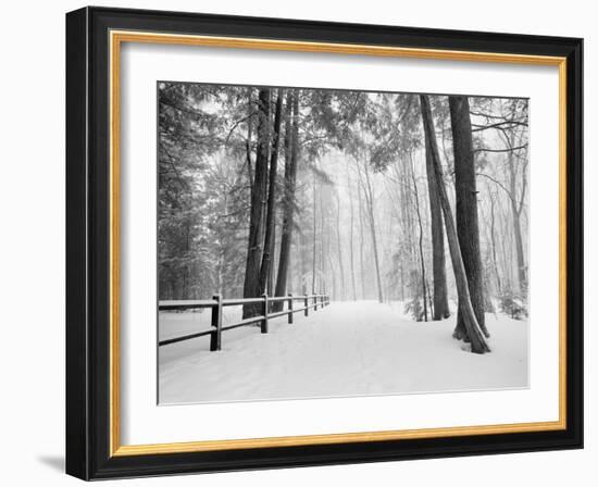 Winter's Path-Monte Nagler-Framed Photographic Print