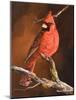 Winter's Perch 1-Trevor V. Swanson-Mounted Giclee Print