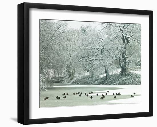 Winter's Pond-Assaf Frank-Framed Giclee Print