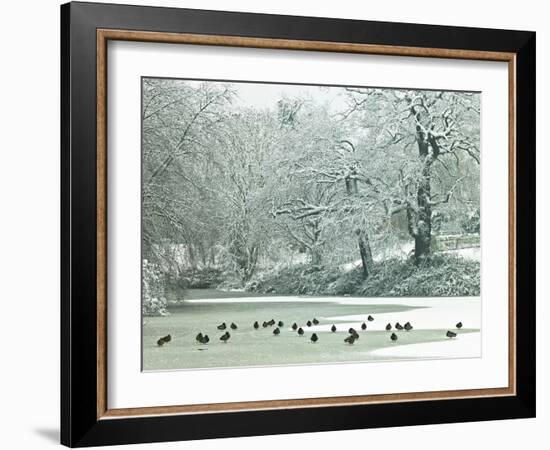 Winter's Pond-Assaf Frank-Framed Giclee Print