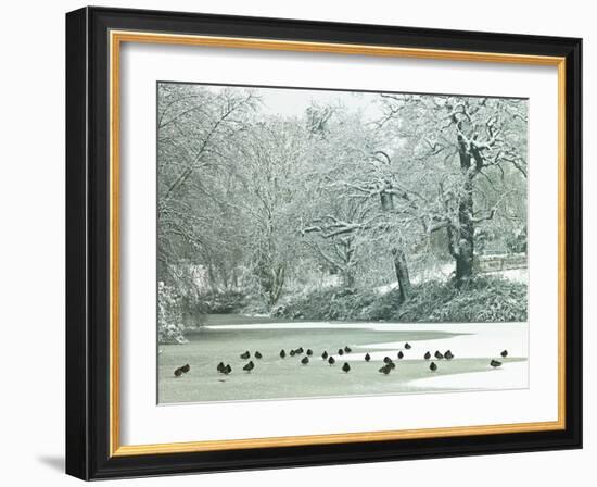 Winter's Pond-Assaf Frank-Framed Giclee Print