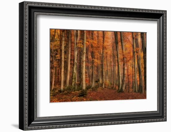 Winter's Soon to Come-Norbert Maier-Framed Photographic Print