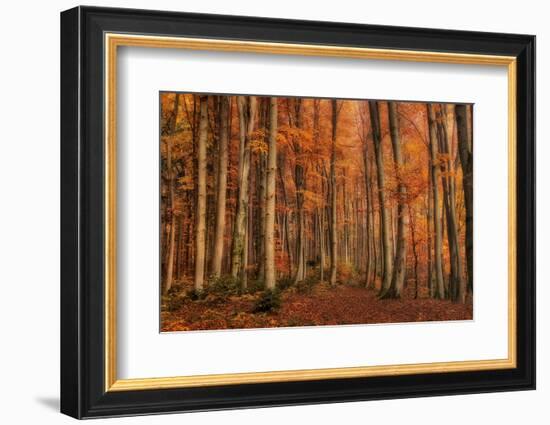 Winter's Soon to Come-Norbert Maier-Framed Photographic Print