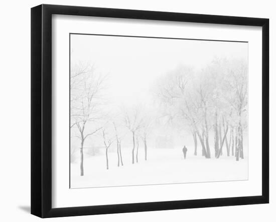 Winter, Saint Petersburg, Russia-Nadia Isakova-Framed Photographic Print