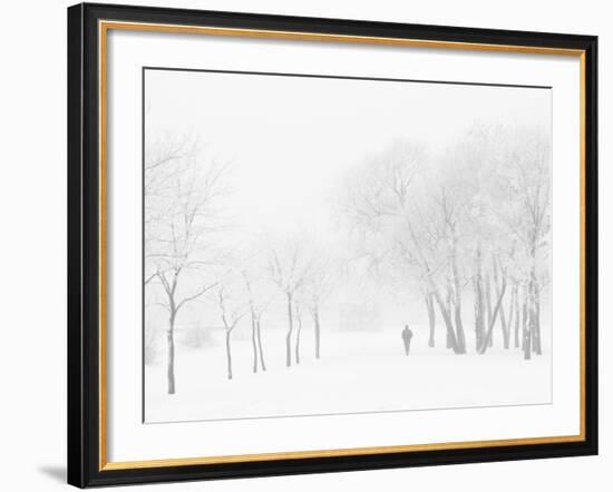 Winter, Saint Petersburg, Russia-Nadia Isakova-Framed Photographic Print