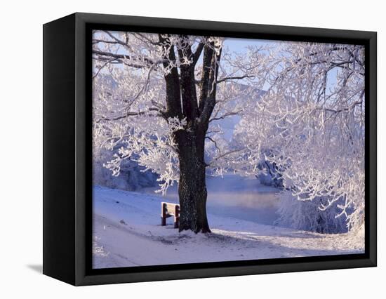 Winter Scene Beside the River Tay, Aberfeldy, Perthshire, Scotaland, UK-Kathy Collins-Framed Premier Image Canvas