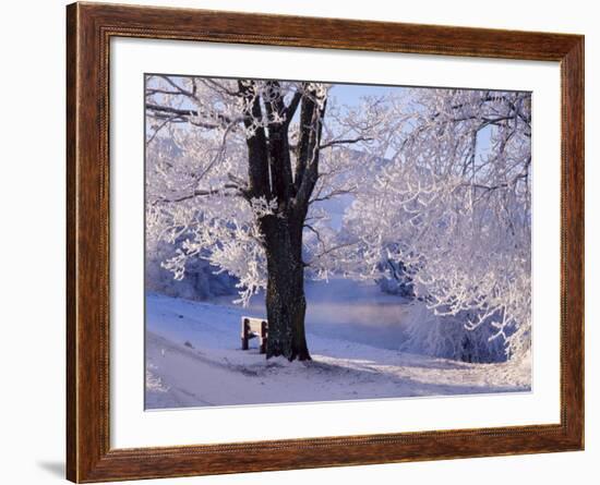 Winter Scene Beside the River Tay, Aberfeldy, Perthshire, Scotaland, UK-Kathy Collins-Framed Premium Photographic Print