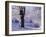 Winter Scene Beside the River Tay, Aberfeldy, Perthshire, Scotaland, UK-Kathy Collins-Framed Photographic Print