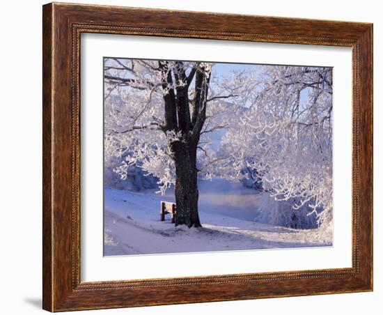 Winter Scene Beside the River Tay, Aberfeldy, Perthshire, Scotaland, UK-Kathy Collins-Framed Photographic Print