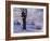 Winter Scene Beside the River Tay, Aberfeldy, Perthshire, Scotaland, UK-Kathy Collins-Framed Photographic Print