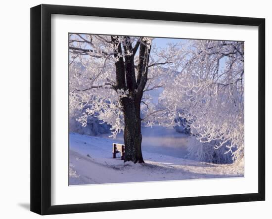 Winter Scene Beside the River Tay, Aberfeldy, Perthshire, Scotaland, UK-Kathy Collins-Framed Photographic Print