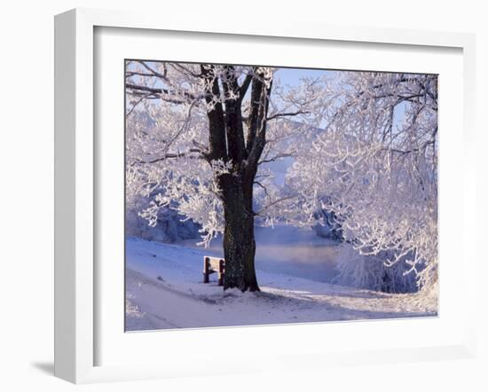 Winter Scene Beside the River Tay, Aberfeldy, Perthshire, Scotaland, UK-Kathy Collins-Framed Photographic Print