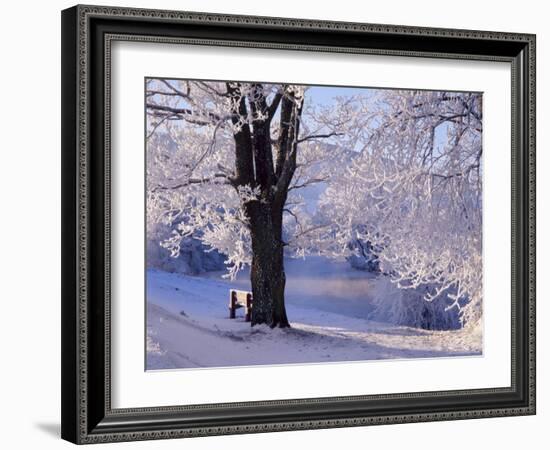 Winter Scene Beside the River Tay, Aberfeldy, Perthshire, Scotaland, UK-Kathy Collins-Framed Photographic Print