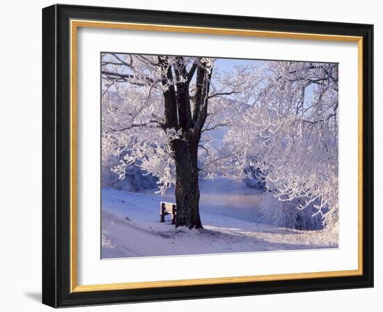 Winter Scene Beside the River Tay, Aberfeldy, Perthshire, Scotaland, UK-Kathy Collins-Framed Photographic Print