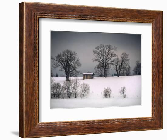 Winter Scene, Hill and Trees, Hut and Foreboding Sky-Sheila Haddad-Framed Photographic Print