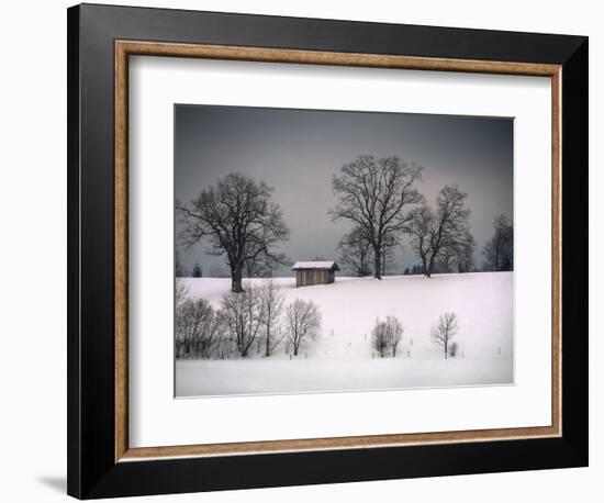 Winter Scene, Hill and Trees, Hut and Foreboding Sky-Sheila Haddad-Framed Photographic Print