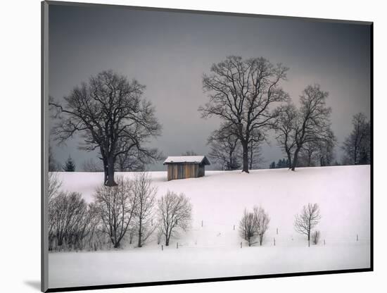 Winter Scene, Hill and Trees, Hut and Foreboding Sky-Sheila Haddad-Mounted Photographic Print