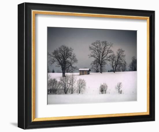 Winter Scene, Hill and Trees, Hut and Foreboding Sky-Sheila Haddad-Framed Photographic Print