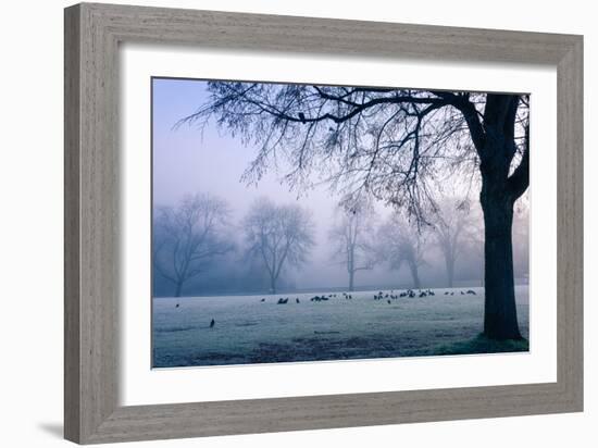 Winter Scene with a Flock of Birds Feeding on the Ground-Sharon Wish-Framed Photographic Print