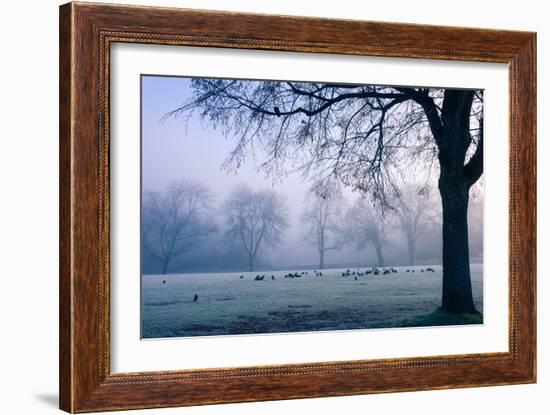 Winter Scene with a Flock of Birds Feeding on the Ground-Sharon Wish-Framed Photographic Print