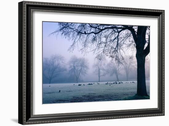 Winter Scene with a Flock of Birds Feeding on the Ground-Sharon Wish-Framed Photographic Print