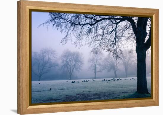 Winter Scene with a Flock of Birds Feeding on the Ground-Sharon Wish-Framed Premier Image Canvas