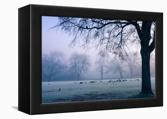 Winter Scene with a Flock of Birds Feeding on the Ground-Sharon Wish-Framed Premier Image Canvas