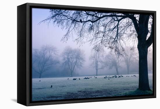 Winter Scene with a Flock of Birds Feeding on the Ground-Sharon Wish-Framed Premier Image Canvas