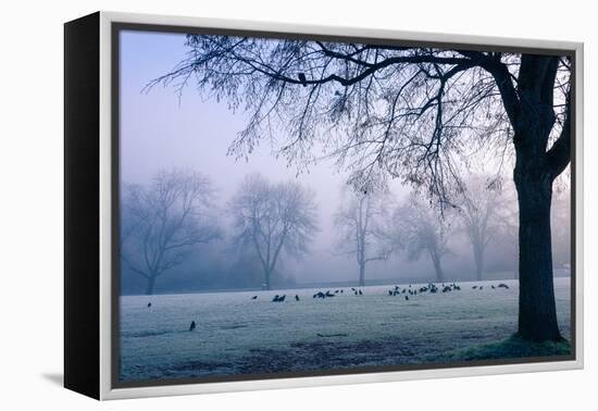 Winter Scene with a Flock of Birds Feeding on the Ground-Sharon Wish-Framed Premier Image Canvas