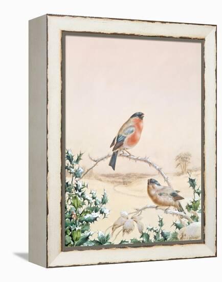 Winter Scene with Chaffinch and Holly-Henry Fuseli-Framed Premier Image Canvas