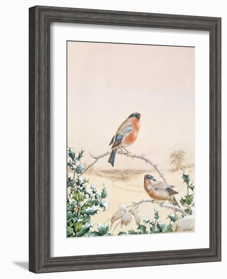 Winter Scene with Chaffinch and Holly-Henry Fuseli-Framed Giclee Print