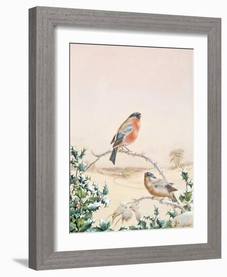 Winter Scene with Chaffinch and Holly-Henry Fuseli-Framed Giclee Print