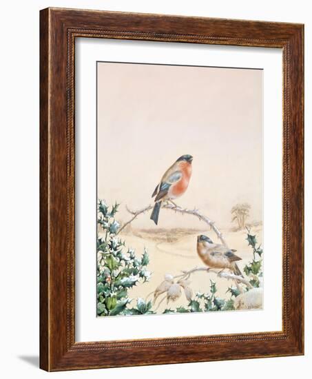 Winter Scene with Chaffinch and Holly-Henry Fuseli-Framed Giclee Print